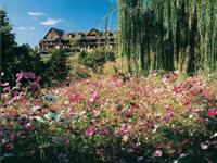 Spring in Branson