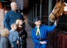 Dixie Stampede Horses